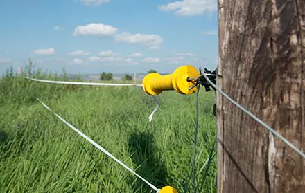 Electric Farm Fence